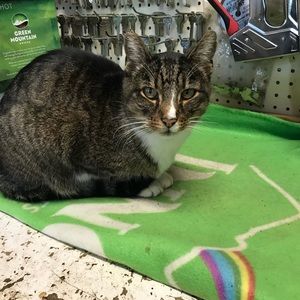 Meet your Posher, Kristin